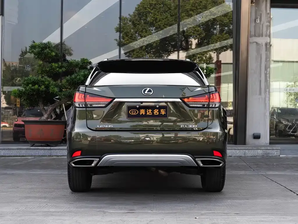 Lexus RX — фото 5