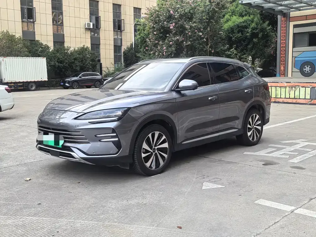 BYD PLUS New Energy — фото 1