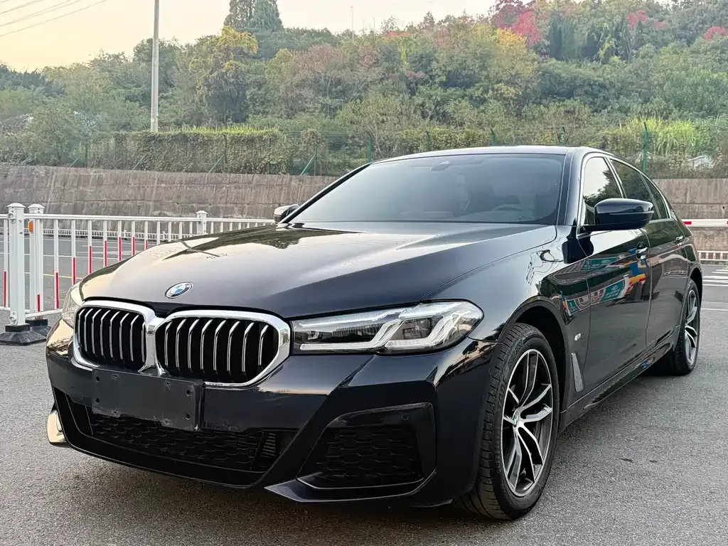 BMW 5 Series — фото 1