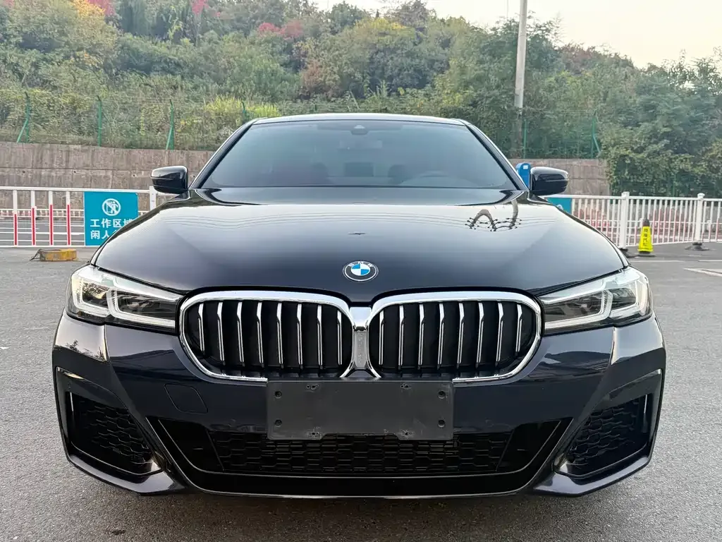 BMW 5 Series — фото 2