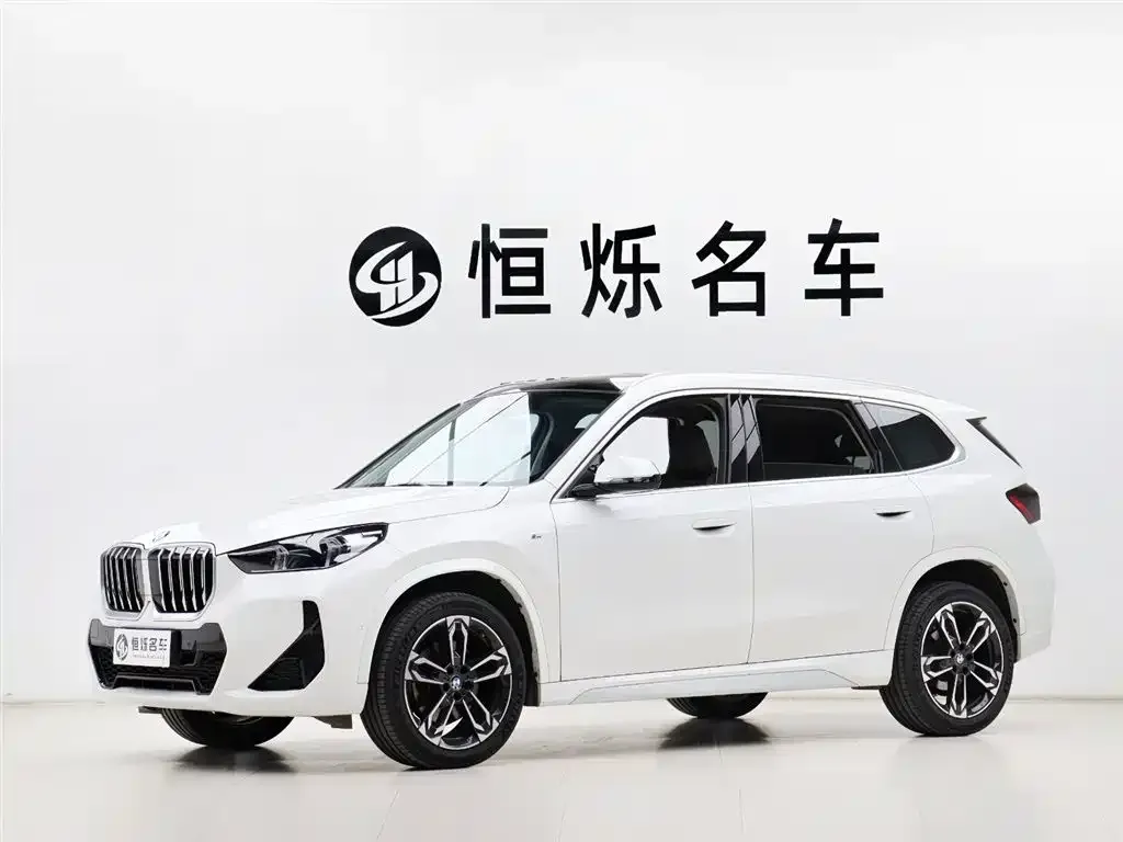BMW X1 — фото 1
