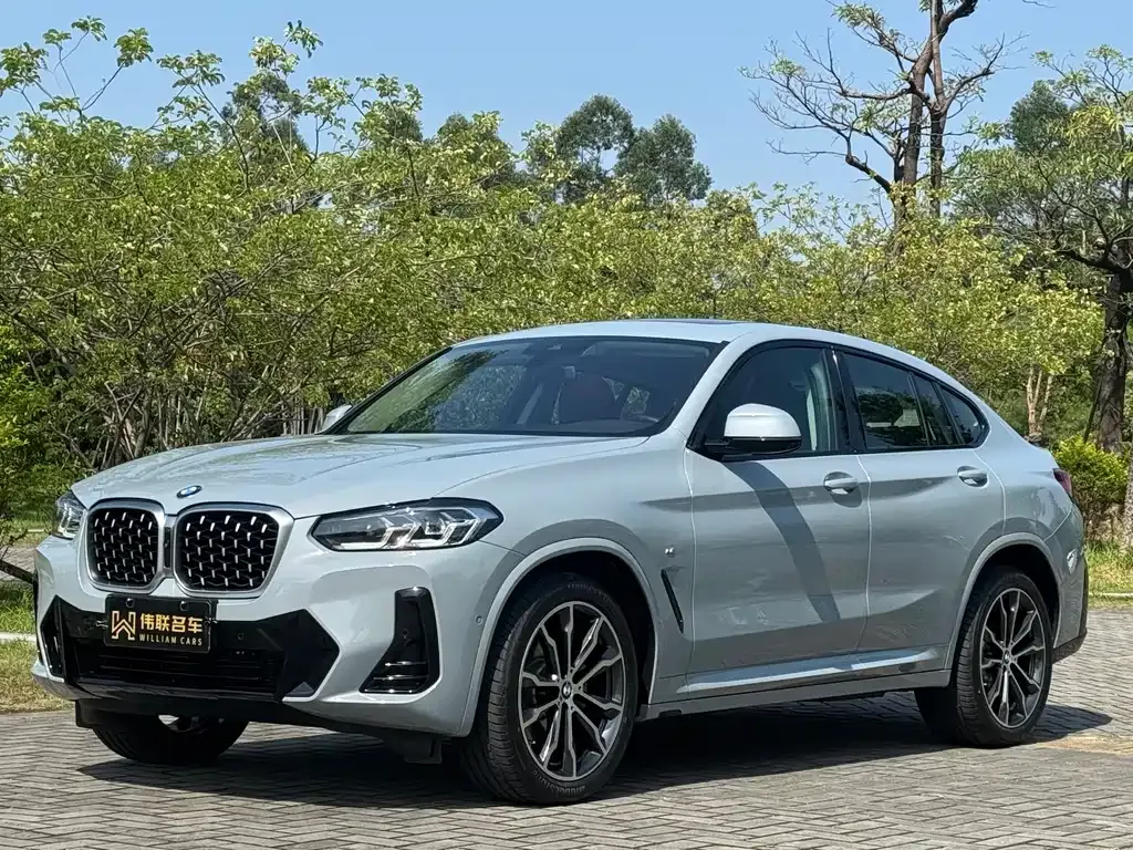BMW X4 — фото 1