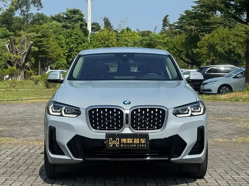 BMW X4 — фото 2