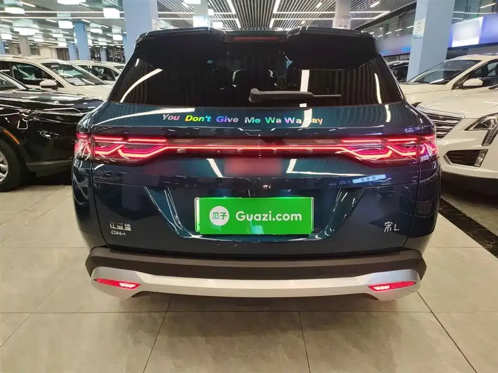 BYD L DM-i — фото 6