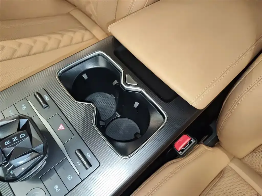 BYD L DM-i — фото 9