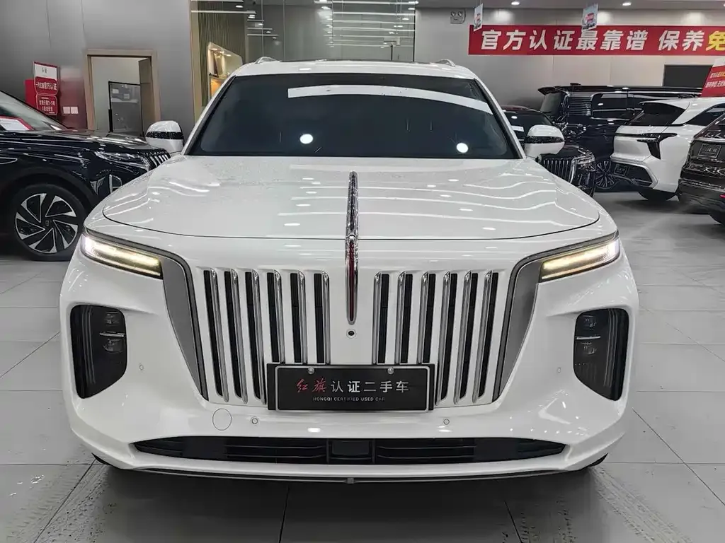 Hongqi E-HS9 — фото 2