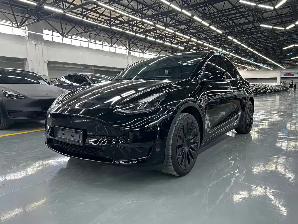 Tesla Model Y — фото 1