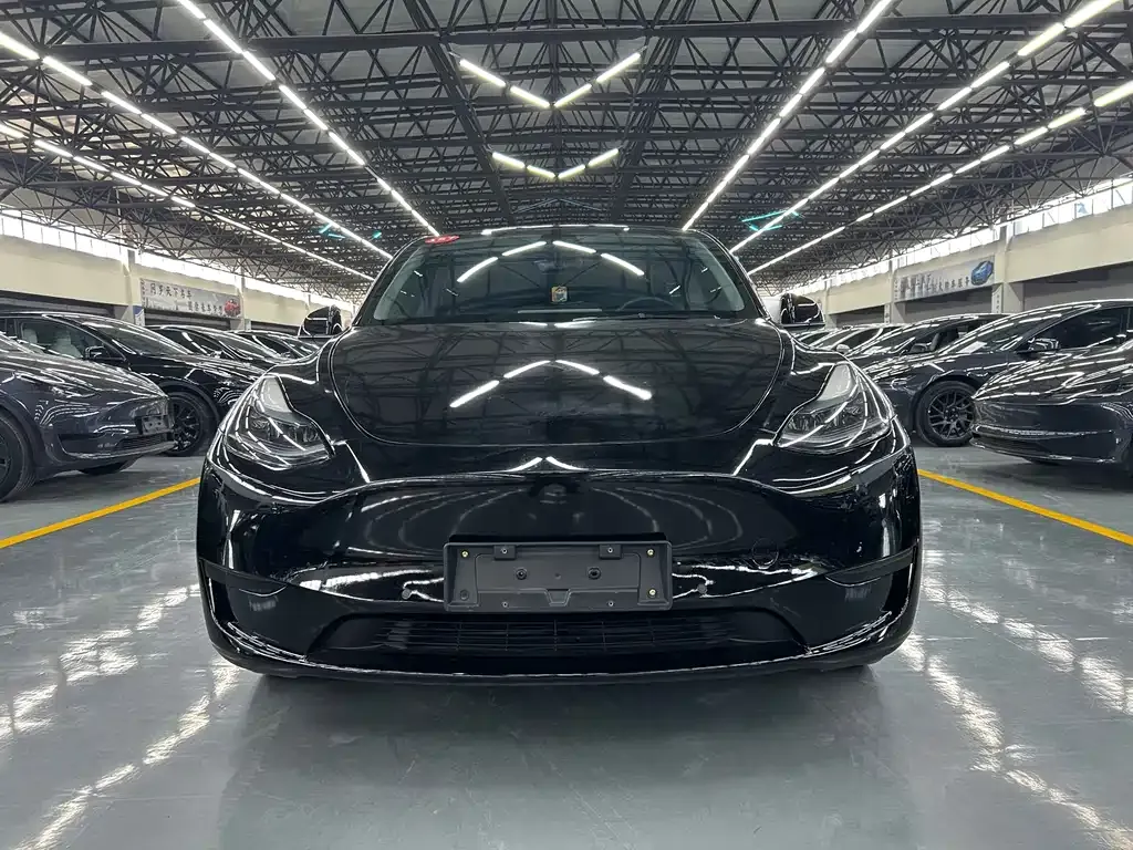 Tesla Model Y — фото 2