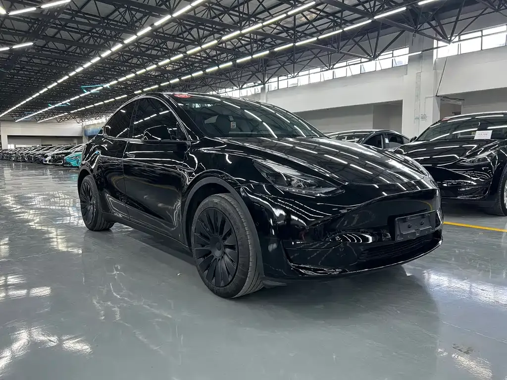 Tesla Model Y — фото 3