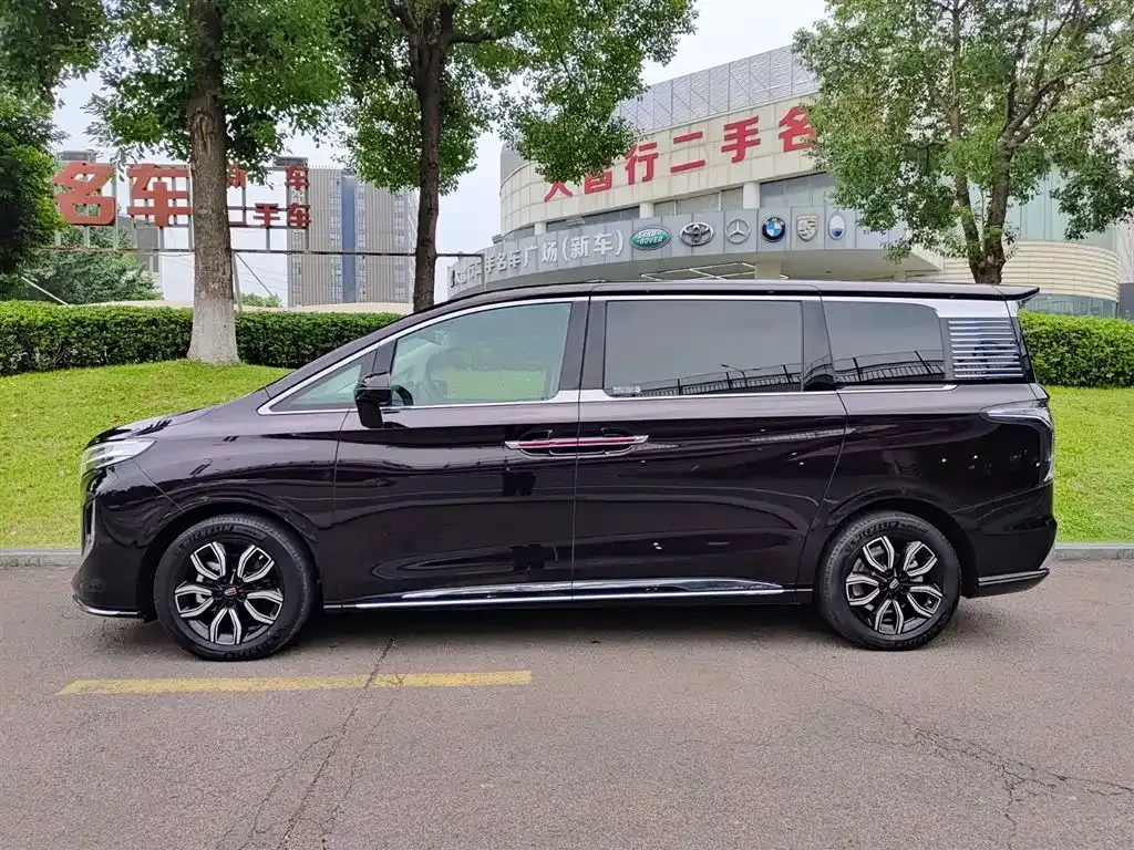 Hongqi HQ9 — фото 3