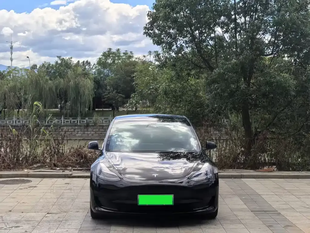 Tesla Model 3 — фото 1