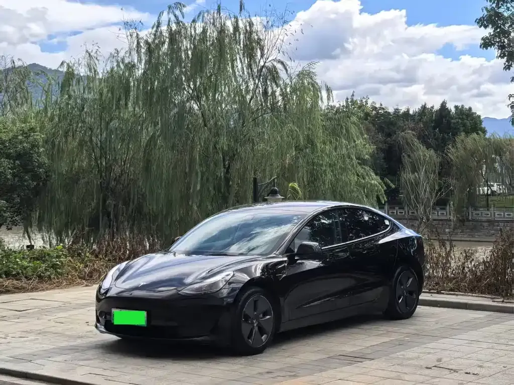 Tesla Model 3 — фото 2