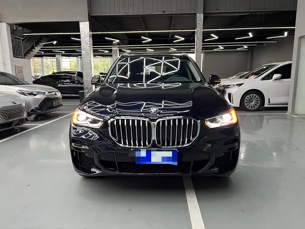 BMW X5 (Import) — фото 2