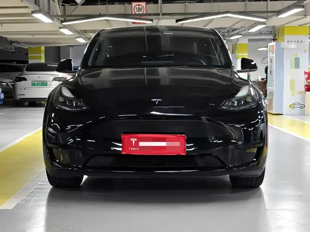 Tesla Model Y — фото 2