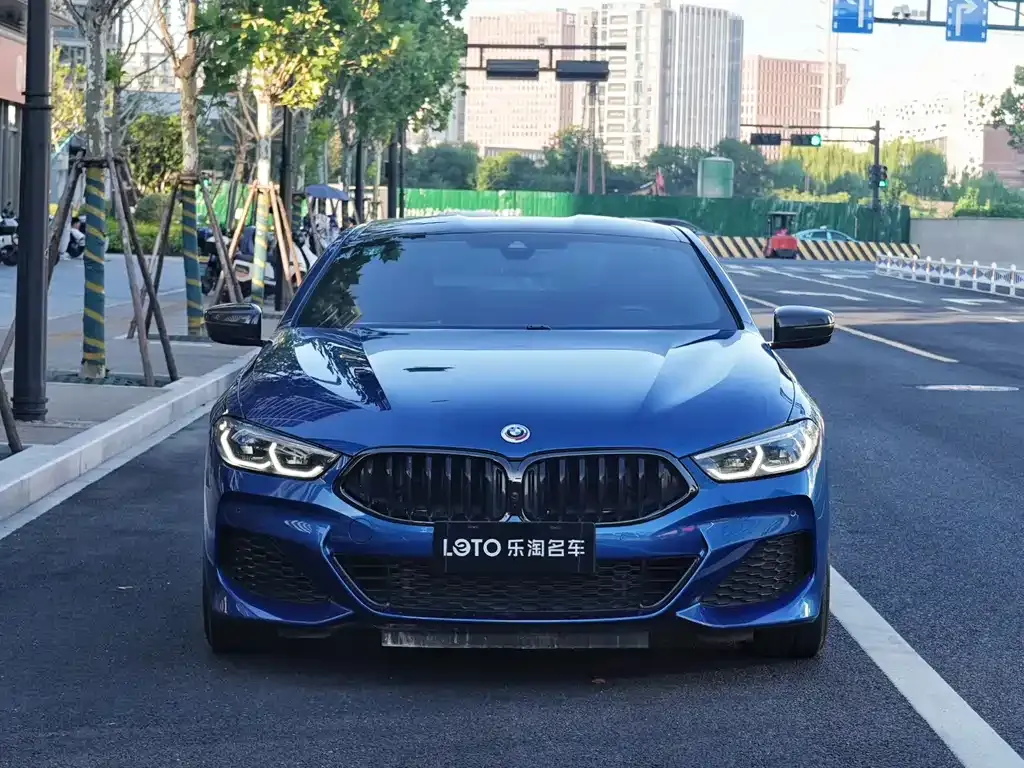BMW 8 Series — фото 5