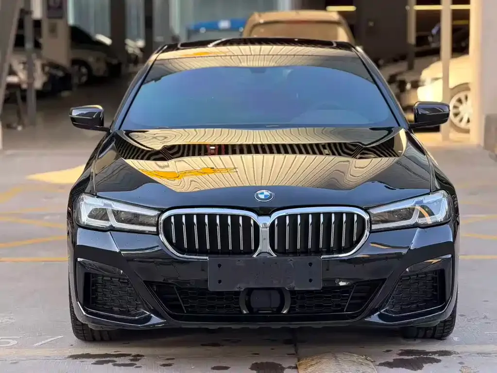 BMW 5 Series New Energy — фото 3