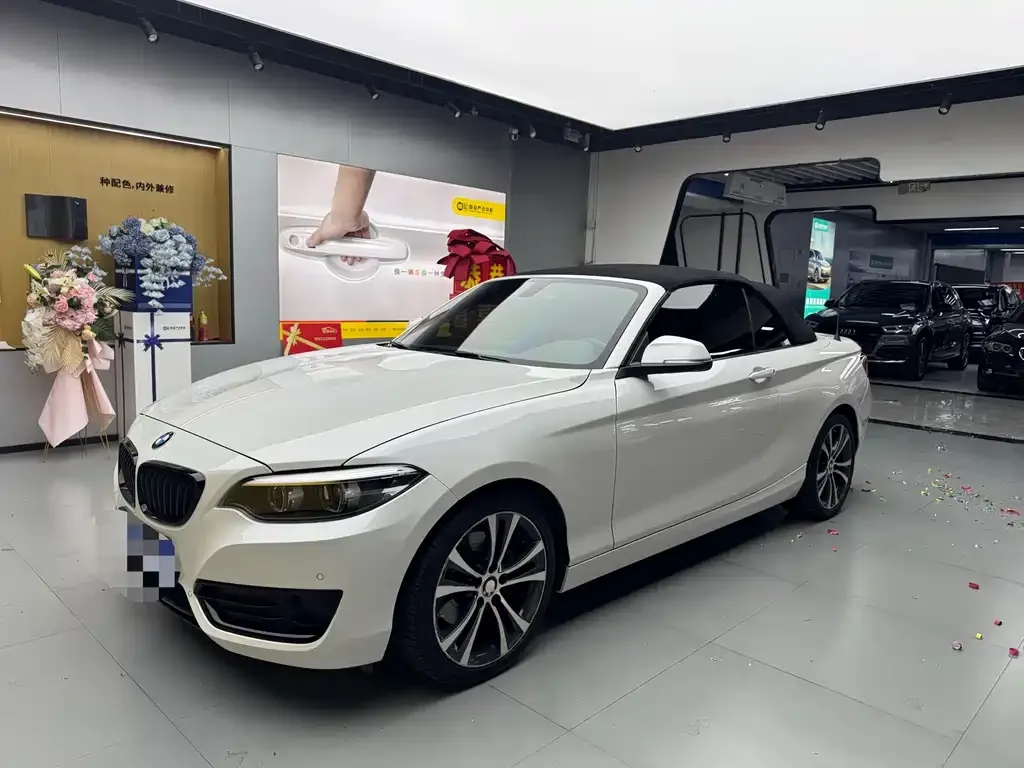 BMW 2 Series (Import) — фото 1