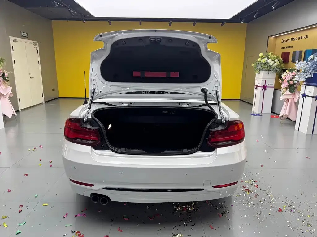 BMW 2 Series (Import) — фото 10