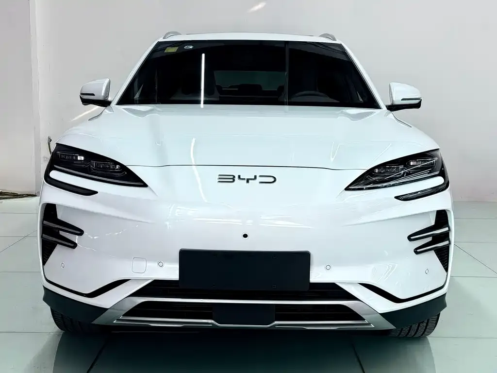 BYD PLUS New Energy — фото 1