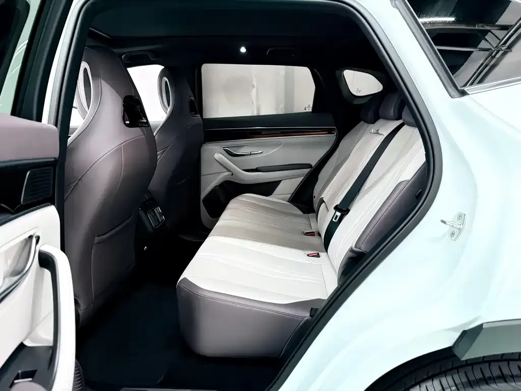 BYD PLUS New Energy — фото 10