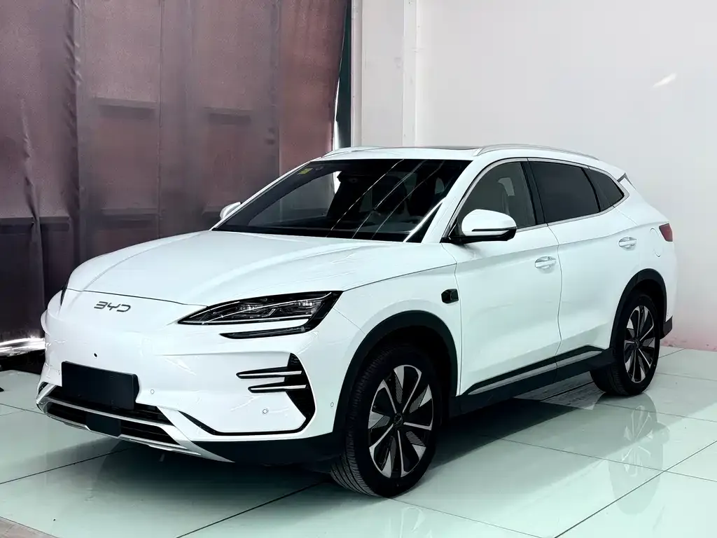 BYD PLUS New Energy — фото 2