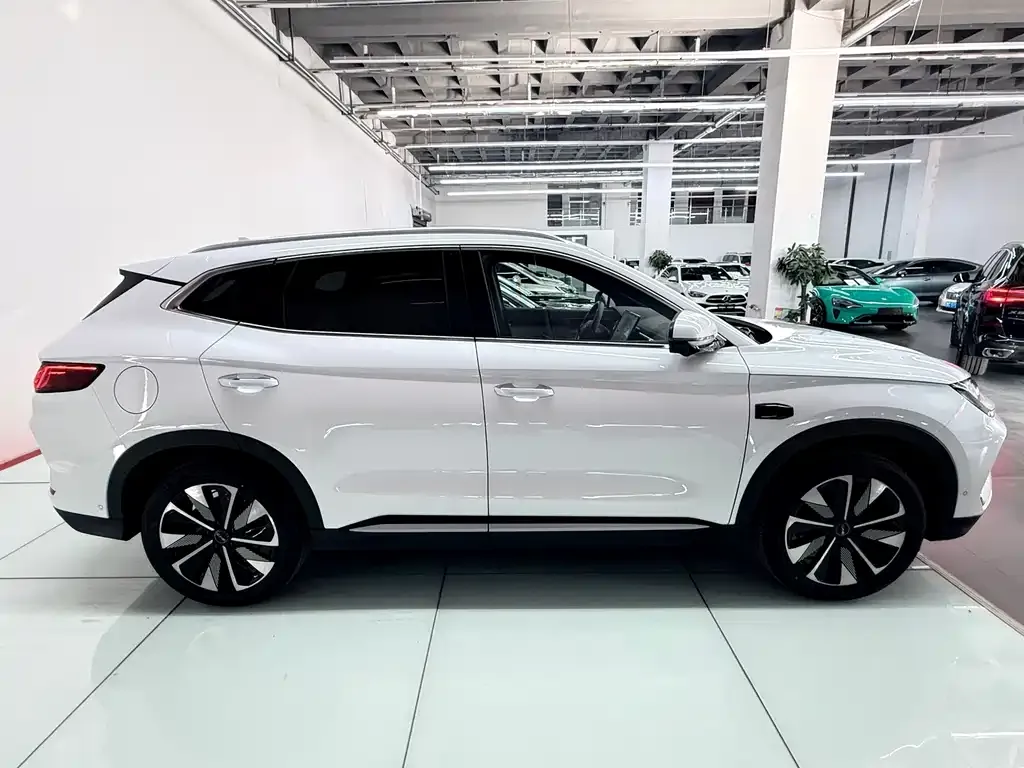 BYD PLUS New Energy — фото 7