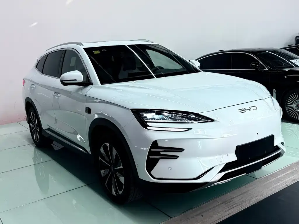 BYD PLUS New Energy — фото 8