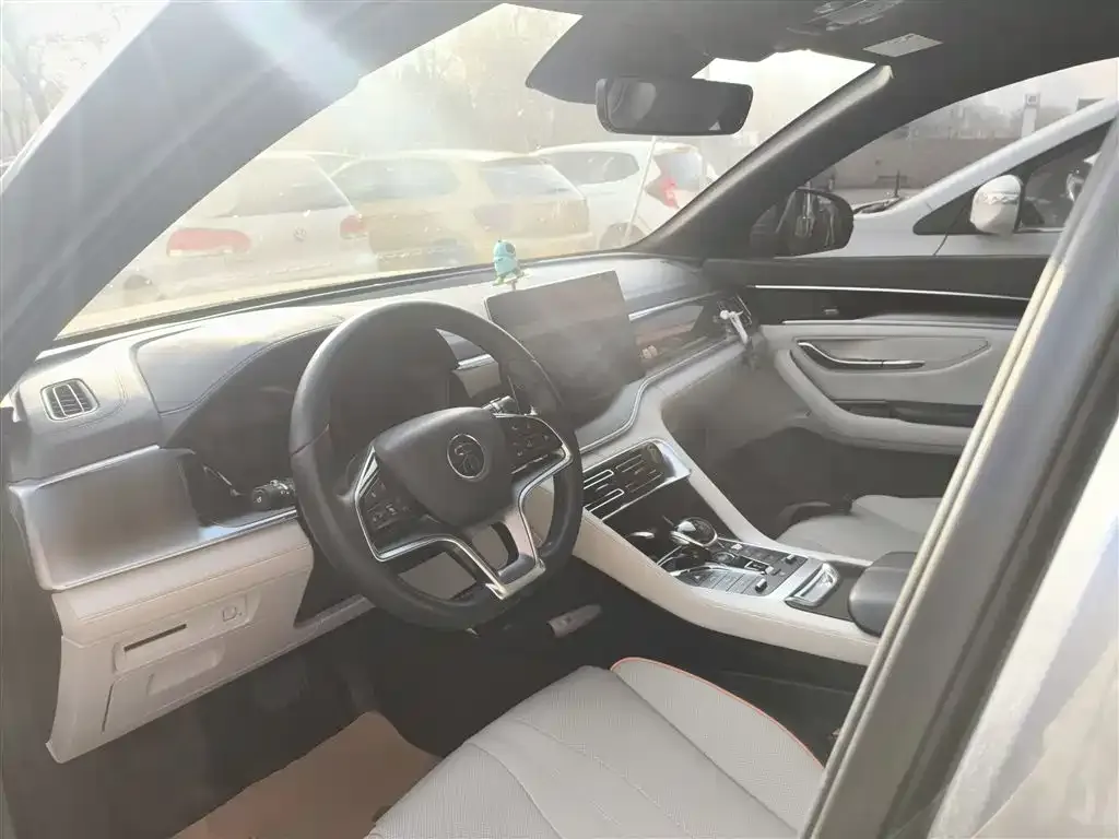BYD PLUS New Energy — фото 10