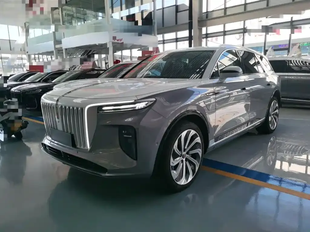 Hongqi E-HS9 — фото 1