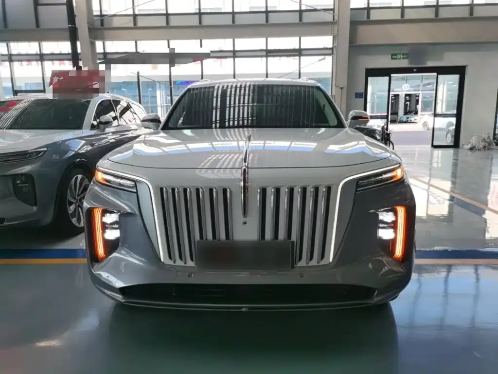 Hongqi E-HS9 — фото 3
