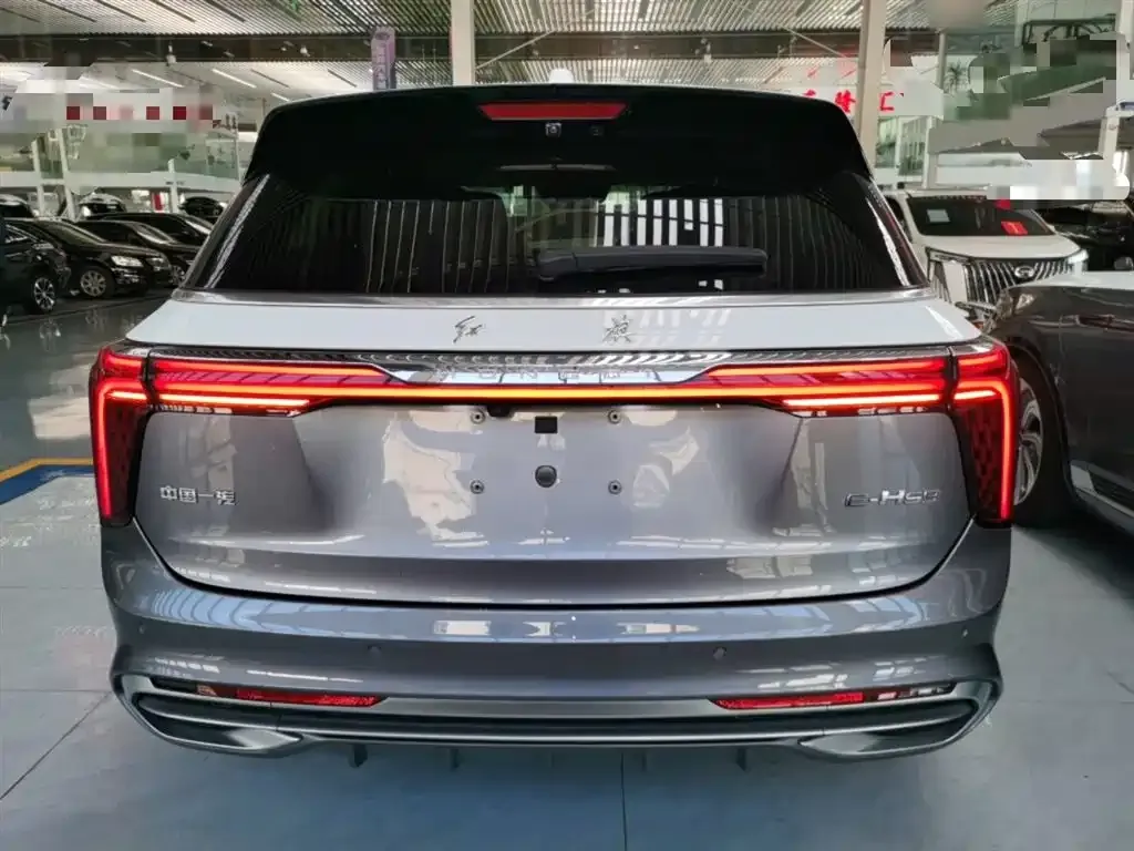 Hongqi E-HS9 — фото 6