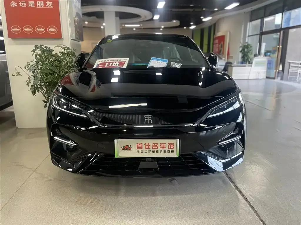 BYD L EV — фото 2