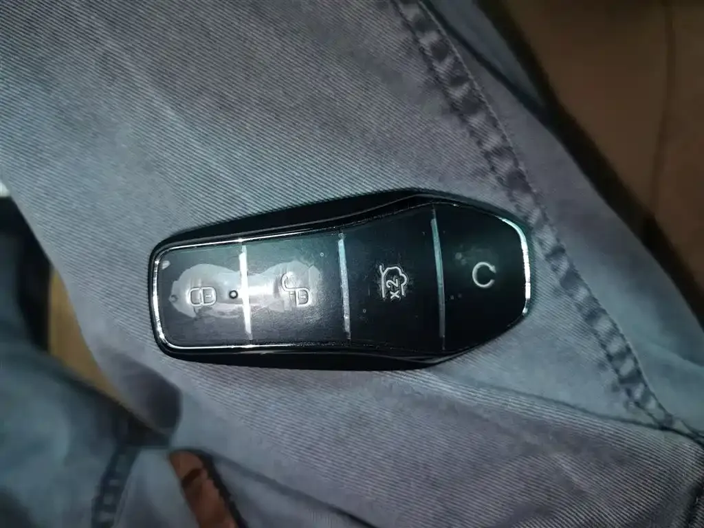 BYD L DM-i — фото 9