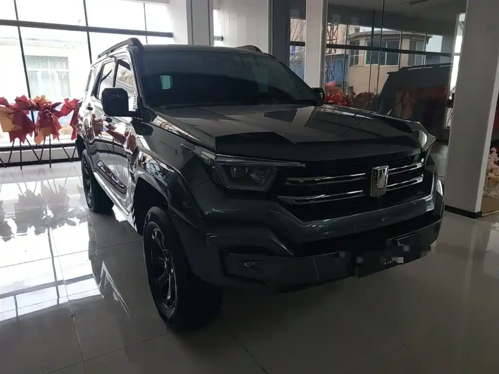 Tank 400 New Energy — фото 4