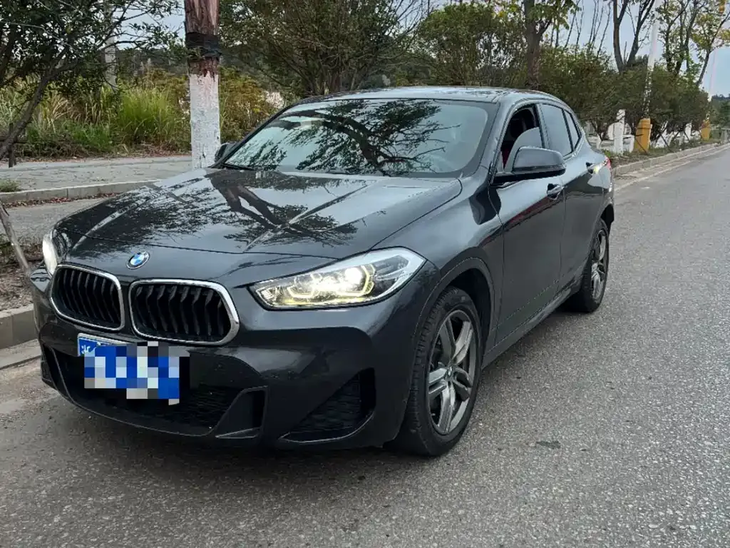 BMW X2 — фото 1