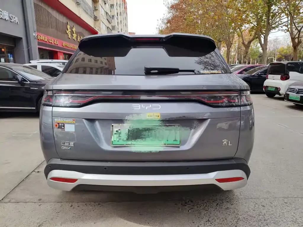 BYD L DM-i — фото 6