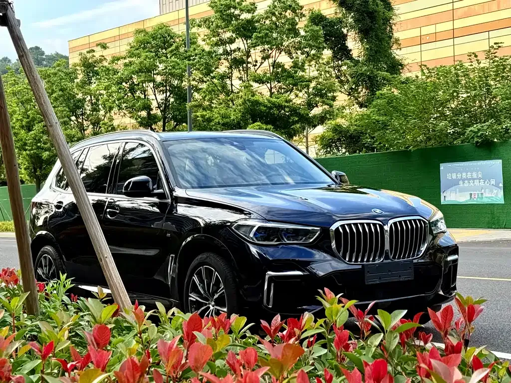 BMW X5 — фото 10