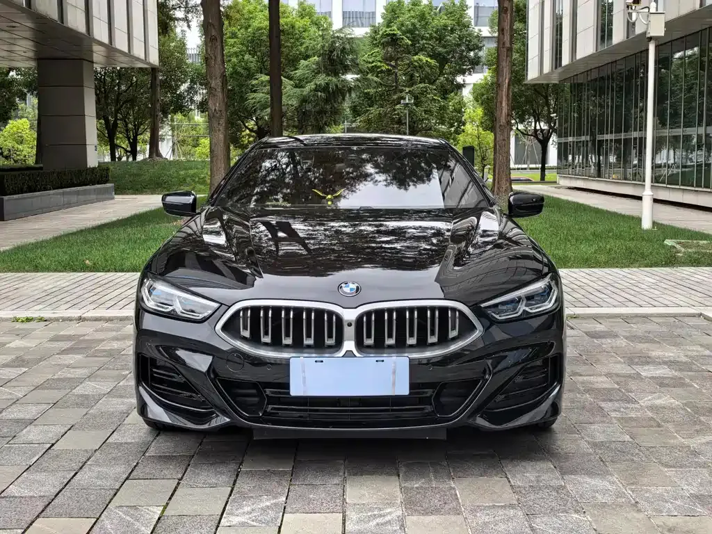 BMW 8 Series — фото 2