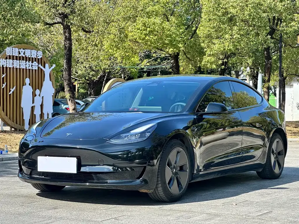 Tesla Model 3 — фото 1