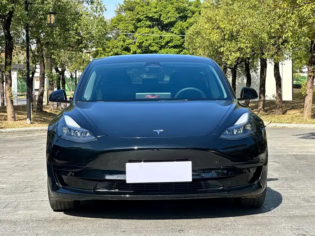 Tesla Model 3 — фото 2