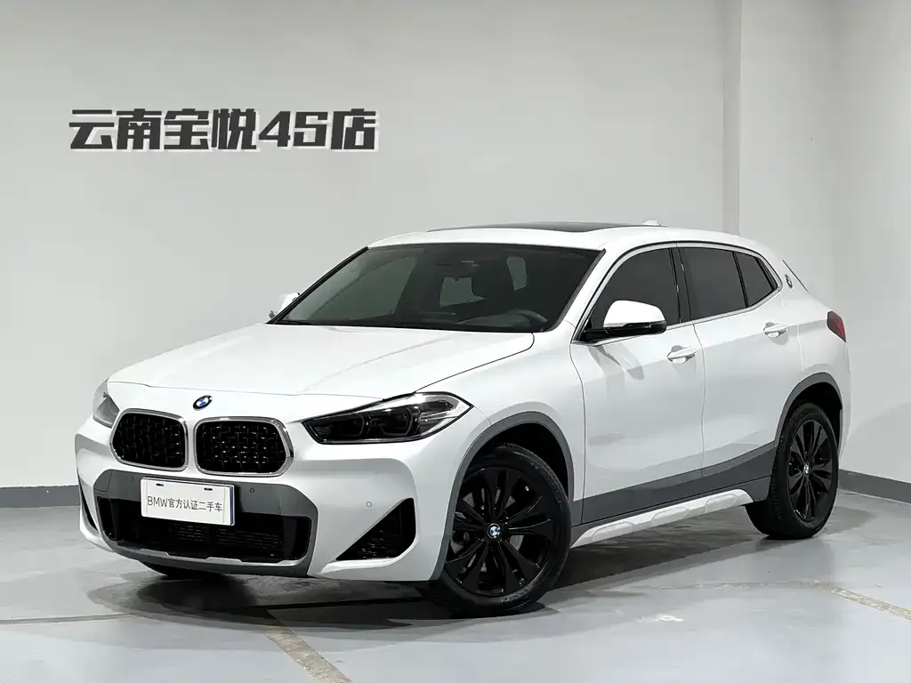 BMW X2 — фото 1