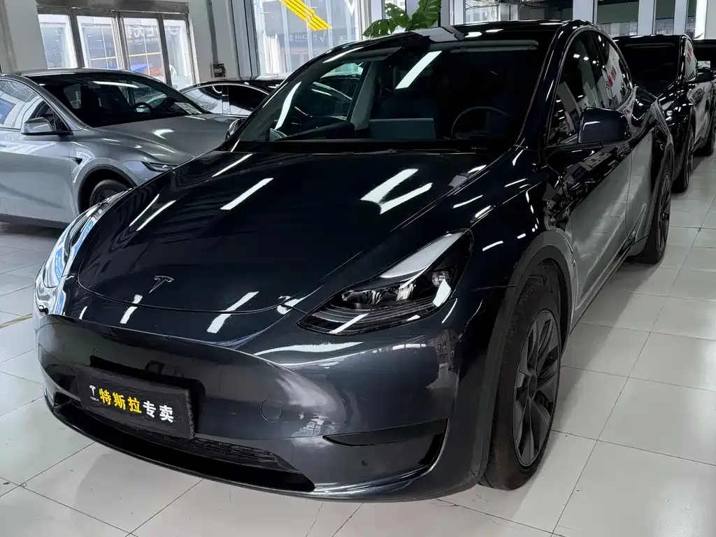 Tesla Model Y — фото 1