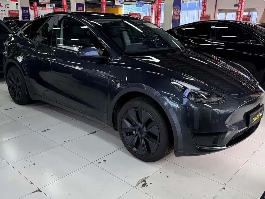 Tesla Model Y — фото 2