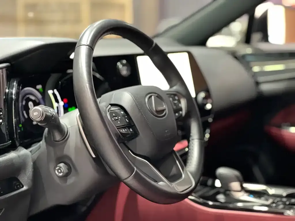 Lexus NX New Energy — фото 10