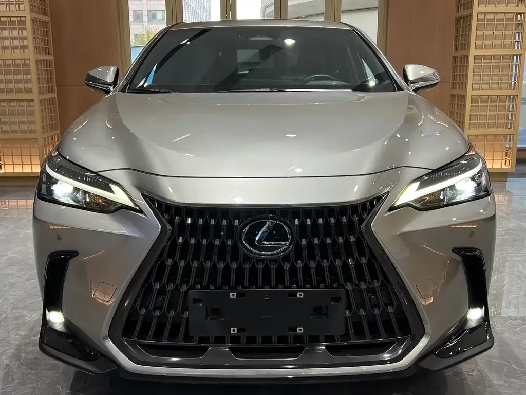 Lexus NX New Energy — фото 2