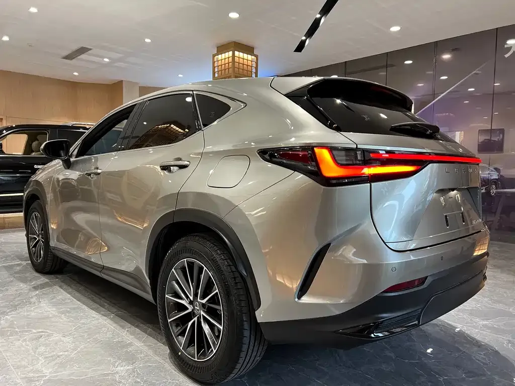 Lexus NX New Energy — фото 4
