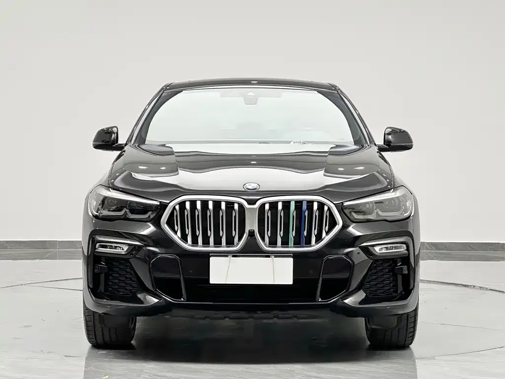 BMW X6 — фото 10