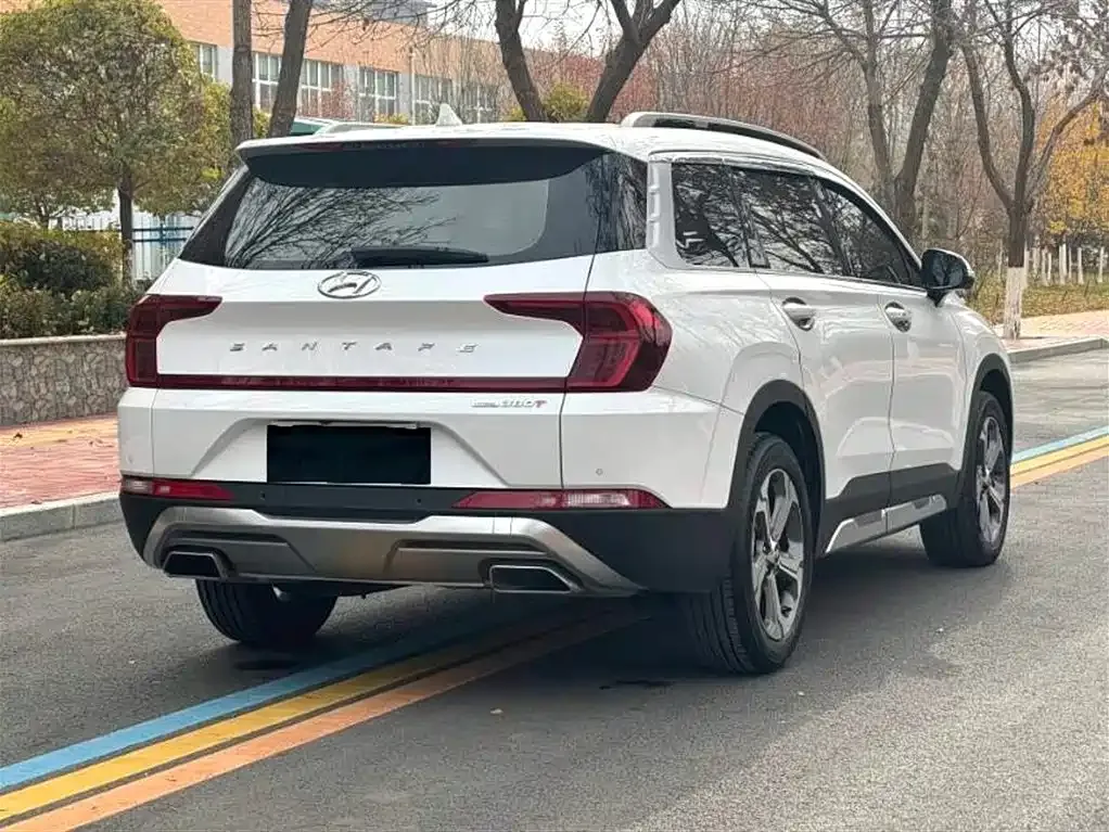 Hyundai Santa Fe — фото 6