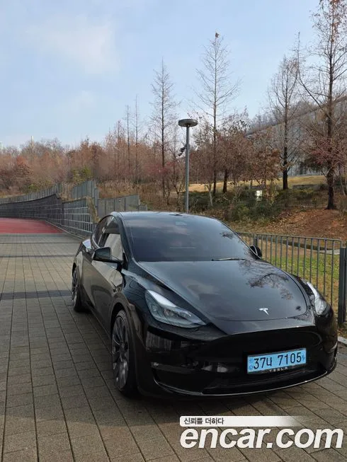 Tesla Model Y — фото 3