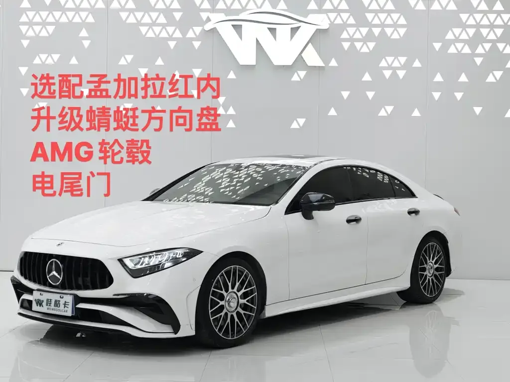 Mercedes-Benz CLS — фото 1